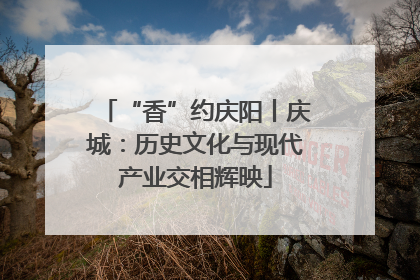 “香”约庆阳丨庆城：历史文化与现代产业交相辉映