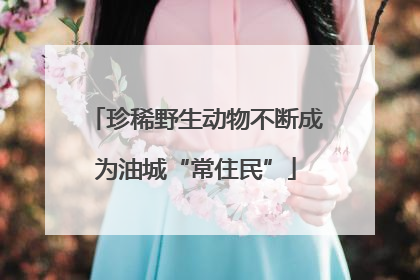 珍稀野生动物不断成为油城“常住民”