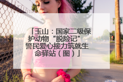 玉山：国家二级保护动物“脱险记” 警民爱心接力筑就生命驿站（图）