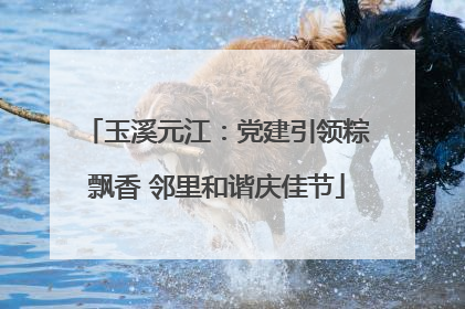 玉溪元江：党建引领粽飘香 邻里和谐庆佳节