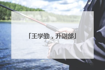 王学勤，升副部