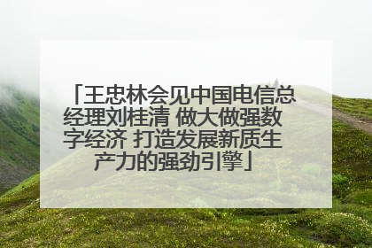 王忠林会见中国电信总经理刘桂清 做大做强数字经济 打造发展新质生产力的强劲引擎