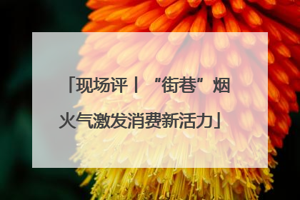 现场评丨“街巷”烟火气激发消费新活力