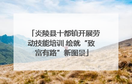 炎陵县十都镇开展劳动技能培训 绘就“致富有路”新图景