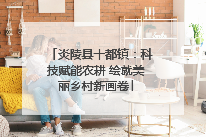 炎陵县十都镇：科技赋能农耕 绘就美丽乡村新画卷