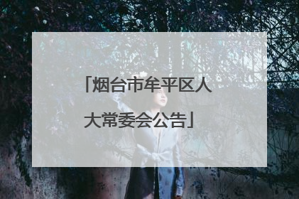 烟台市牟平区人大常委会公告