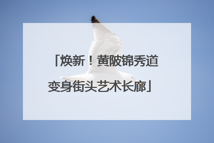 焕新！黄陂锦秀道变身街头艺术长廊