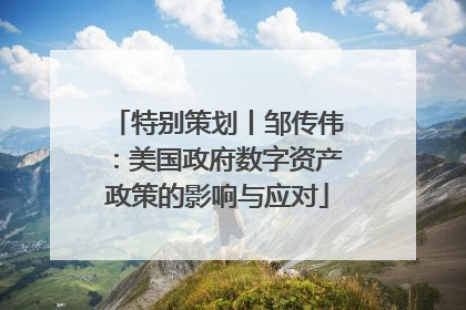 特别策划丨邹传伟：美国政府数字资产政策的影响与应对