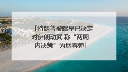 特朗普被曝早已决定对伊朗动武 称“两周内决策”为烟雾弹