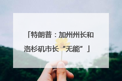 特朗普：加州州长和洛杉矶市长“无能”