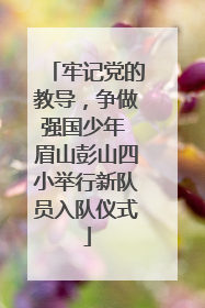 牢记党的教导，争做强国少年 眉山彭山四小举行新队员入队仪式