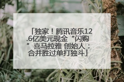 独家！腾讯音乐12.6亿美元现金“闪购”喜马拉雅 创始人：合并胜过单打独斗