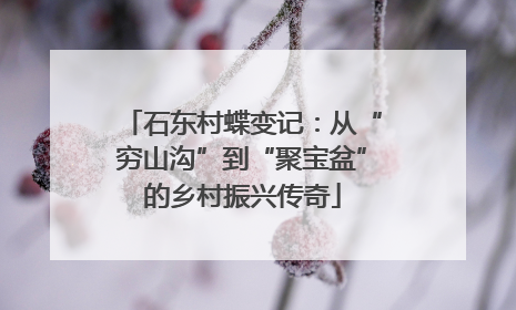 石东村蝶变记：从“穷山沟”到“聚宝盆”的乡村振兴传奇