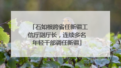 石如根跨省任新疆工信厅副厅长，连续多名年轻干部调任新疆