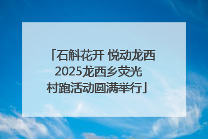 石斛花开 悦动龙西 2025龙西乡荧光村跑活动圆满举行