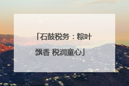 石鼓税务：粽叶飘香 税润童心