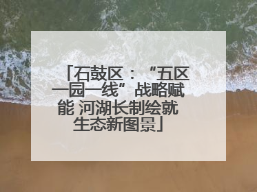 石鼓区：“五区一园一线”战略赋能 河湖长制绘就生态新图景
