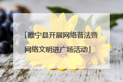 睢宁县开展网络普法暨网络文明进广场活动