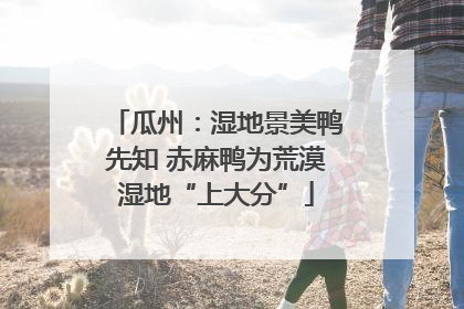瓜州：湿地景美鸭先知 赤麻鸭为荒漠湿地“上大分”