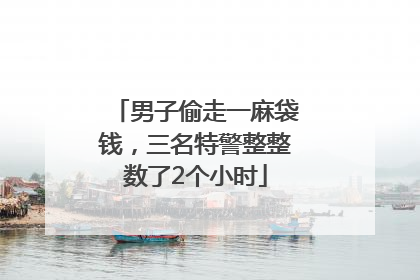 男子偷走一麻袋钱，三名特警整整数了2个小时