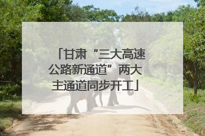 甘肃“三大高速公路新通道”两大主通道同步开工