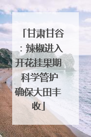 甘肃甘谷：辣椒进入开花挂果期 科学管护确保大田丰收