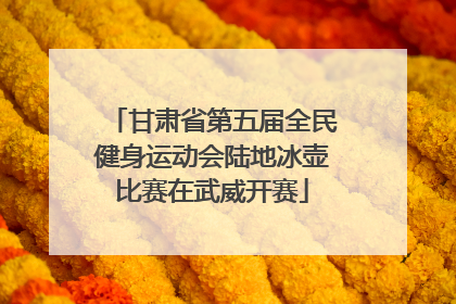 甘肃省第五届全民健身运动会陆地冰壶比赛在武威开赛