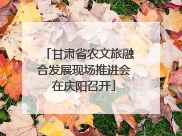 甘肃省农文旅融合发展现场推进会在庆阳召开