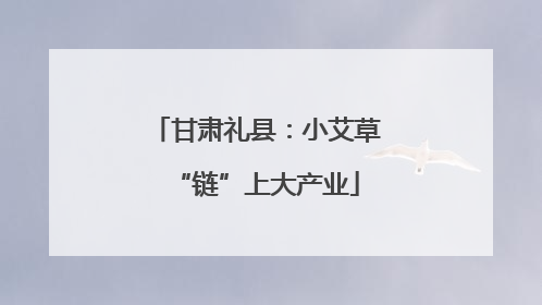 甘肃礼县：小艾草“链”上大产业