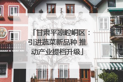 甘肃平凉崆峒区：引进蔬菜新品种 推动产业提档升级