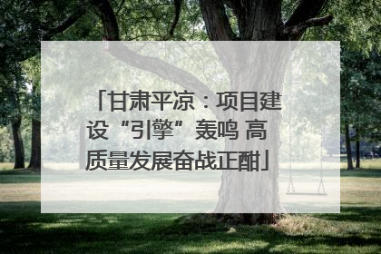 甘肃平凉：项目建设“引擎”轰鸣 高质量发展奋战正酣
