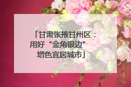 甘肃张掖甘州区：用好“金角银边” 增色宜居城市