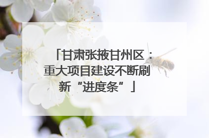 甘肃张掖甘州区：重大项目建设不断刷新“进度条”