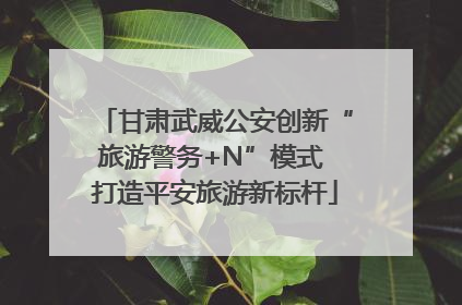 甘肃武威公安创新“旅游警务+N”模式 打造平安旅游新标杆