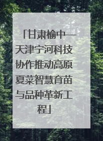 甘肃榆中—天津宁河科技协作推动高原夏菜智慧育苗与品种革新工程