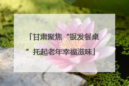 甘肃聚焦“银发餐桌”托起老年幸福滋味