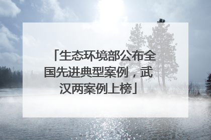 生态环境部公布全国先进典型案例，武汉两案例上榜