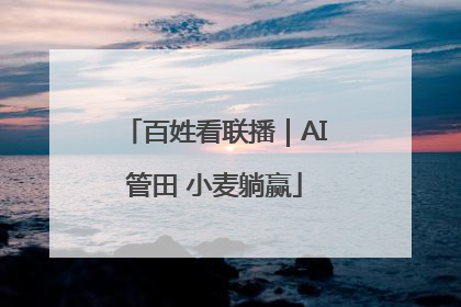 百姓看联播｜AI管田 小麦躺赢