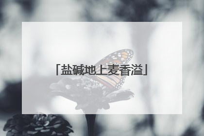 盐碱地上麦香溢