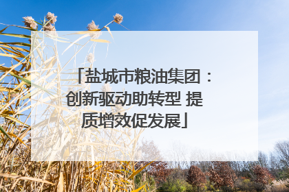 盐城市粮油集团：创新驱动助转型 提质增效促发展