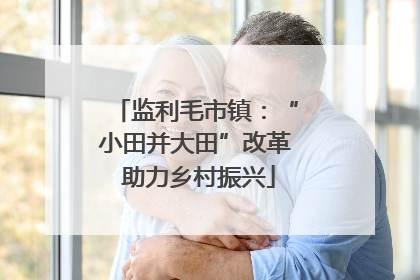 监利毛市镇：“小田并大田”改革 助力乡村振兴
