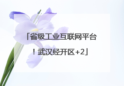 省级工业互联网平台！武汉经开区+2
