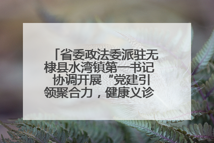省委政法委派驻无棣县水湾镇第一书记 协调开展“党建引领聚合力，健康义诊惠乡亲”义诊活动