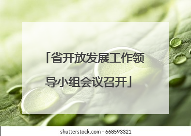 省开放发展工作领导小组会议召开