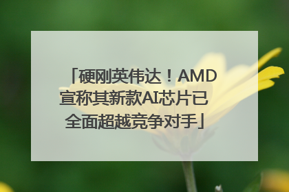 硬刚英伟达！AMD宣称其新款AI芯片已全面超越竞争对手