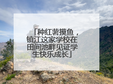 种红薯摸鱼，镇江这家学校在田间池畔见证学生快乐成长
