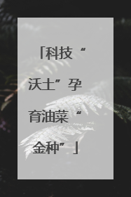 科技“沃土”孕育油菜“金种”