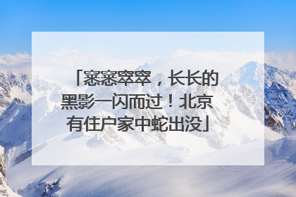 窸窸窣窣，长长的黑影一闪而过！北京有住户家中蛇出没