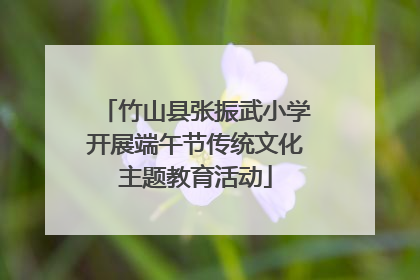 竹山县张振武小学开展端午节传统文化主题教育活动