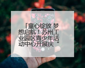 童心绽放 梦想启航！苏州工业园区青少年活动中心开展庆“六一”活动